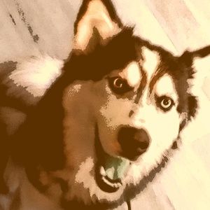 Meet your Posher, Jesus